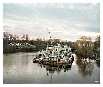 (初版) David Mcmillan: Growth and Decay 洋書 初版) David Mcmillan: Growth and Decay 洋書