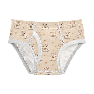 senya Baby Toddler Boys Underwear Kids Exclusive Boxer Briefs Comfort 2T Hamster Sunflower