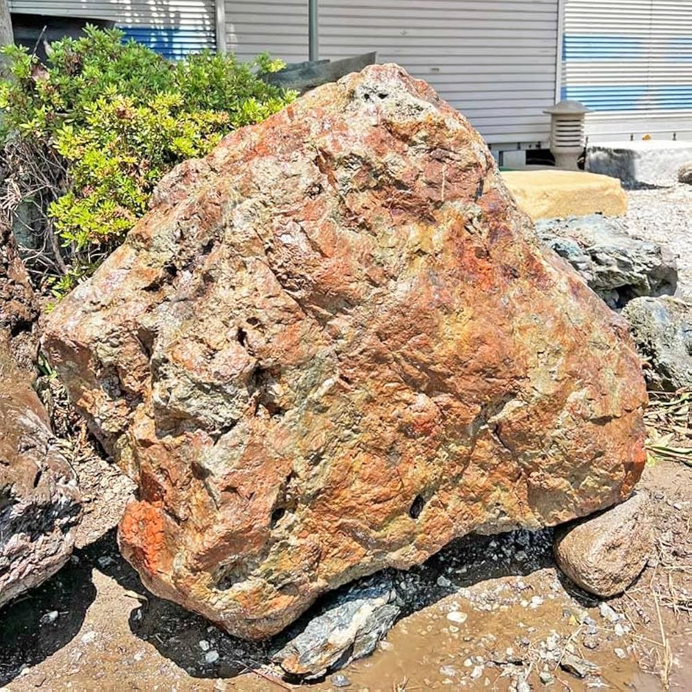 Amazon | 津軽錦石 陸奥 赤石 庭石 錦石 青森 景石 自然石 青森県産