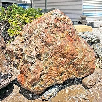 Amazon | 津軽錦石 陸奥 赤石 庭石 錦石 青森 景石 自然石 青森県産