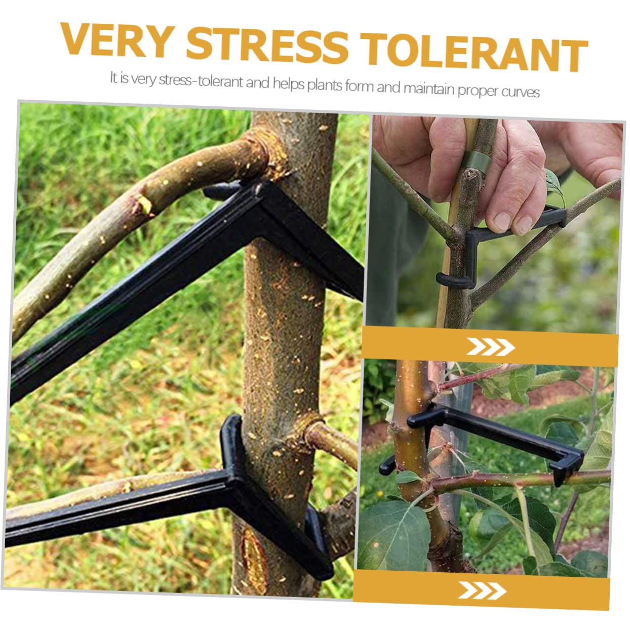 UPKOCH 4 Set Clip per Piante Regolabili PE Strumenti Allenamento per Rami Bonsai E Piante Rampicanti per Indoor E Outdoor 10 Pezzi*4