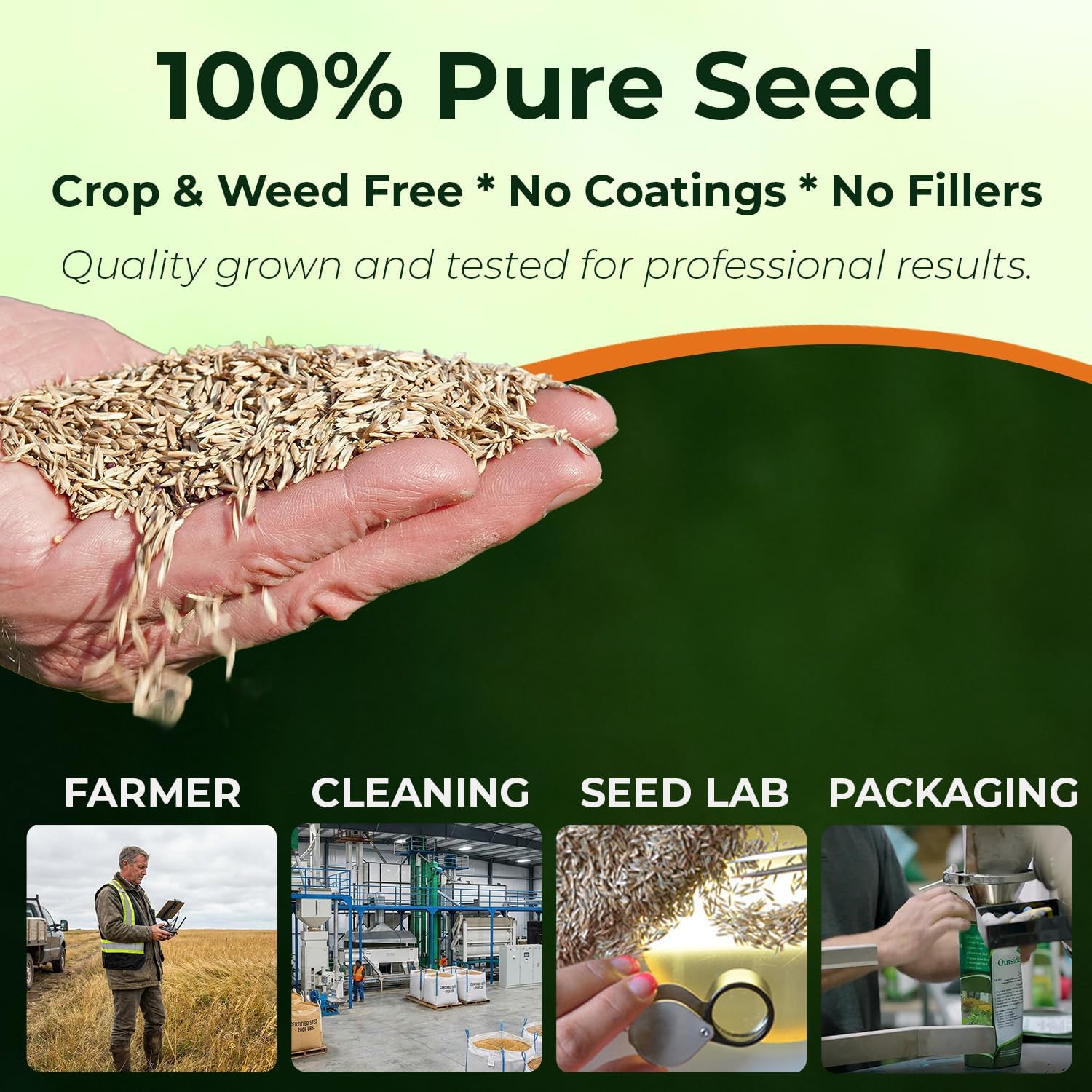 Outsidepride OSP Ryegrass Blend - 5 Lbs. Perennial, Pure Raw Seed w/ 0.00% Other Crop & Weed Seed