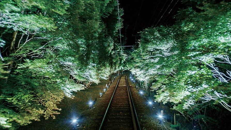 (未使用･未開封品)　青もみじと紅葉の叡山電鉄 全線 出町柳~鞍馬・昼夜2往復  6k88evb Amazon.co.jp: 青もみじと紅葉の叡山電鉄 全線 出町柳~鞍馬