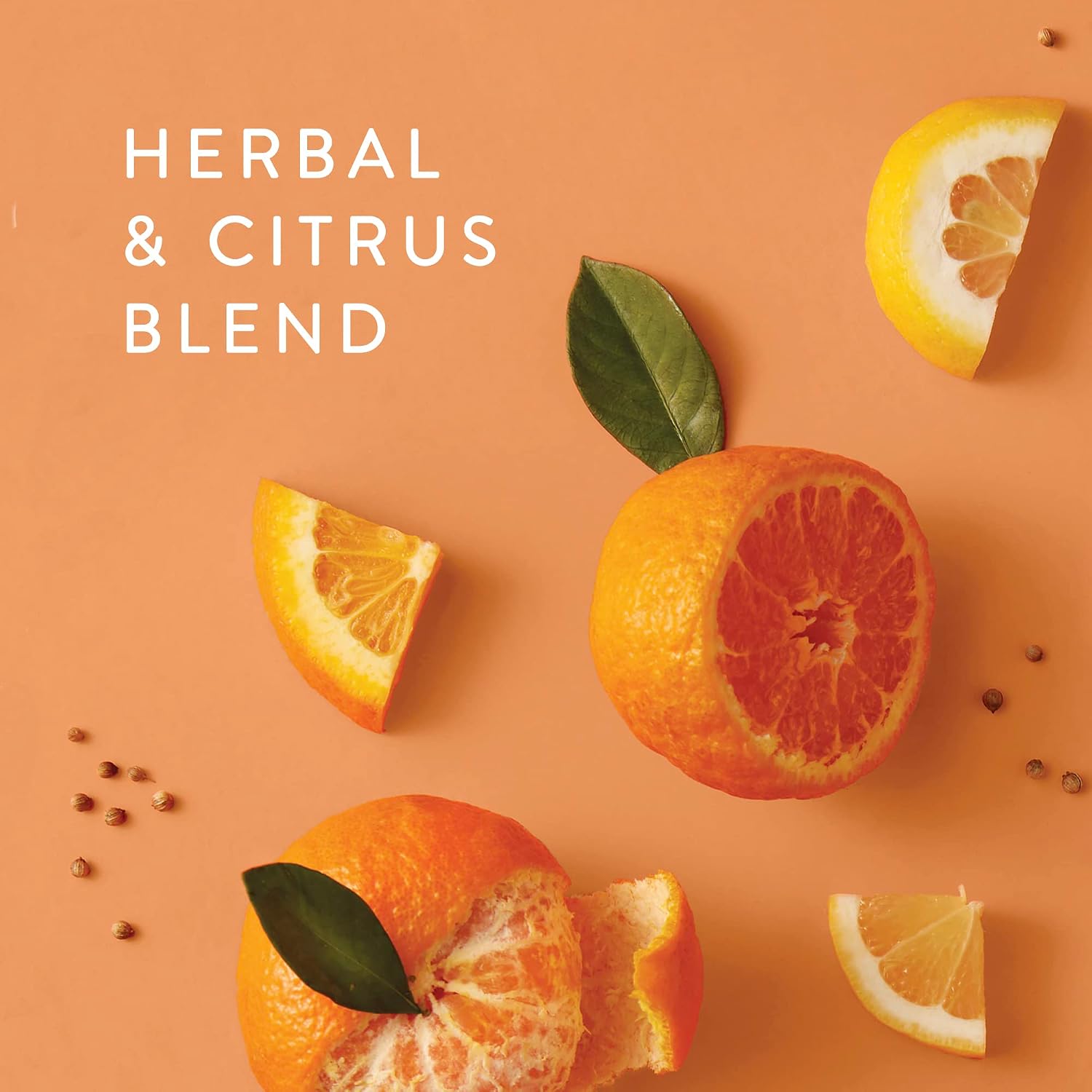 Thymes Frasier Fir Laundry Detergent - Thumbnail 4