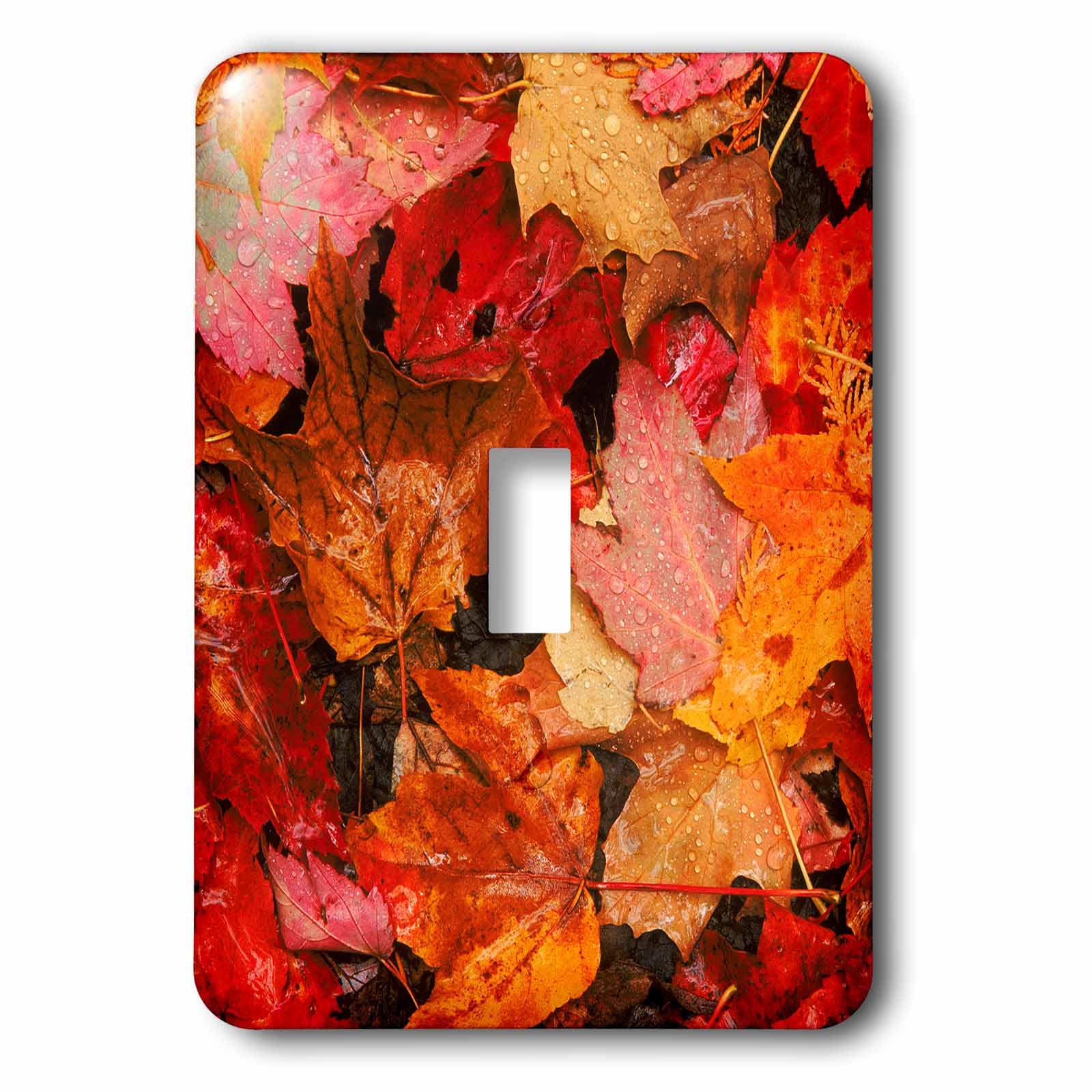 Interrupteur USA Maine Automne pour illuminer votre salon avec une touche nature chaleureuse