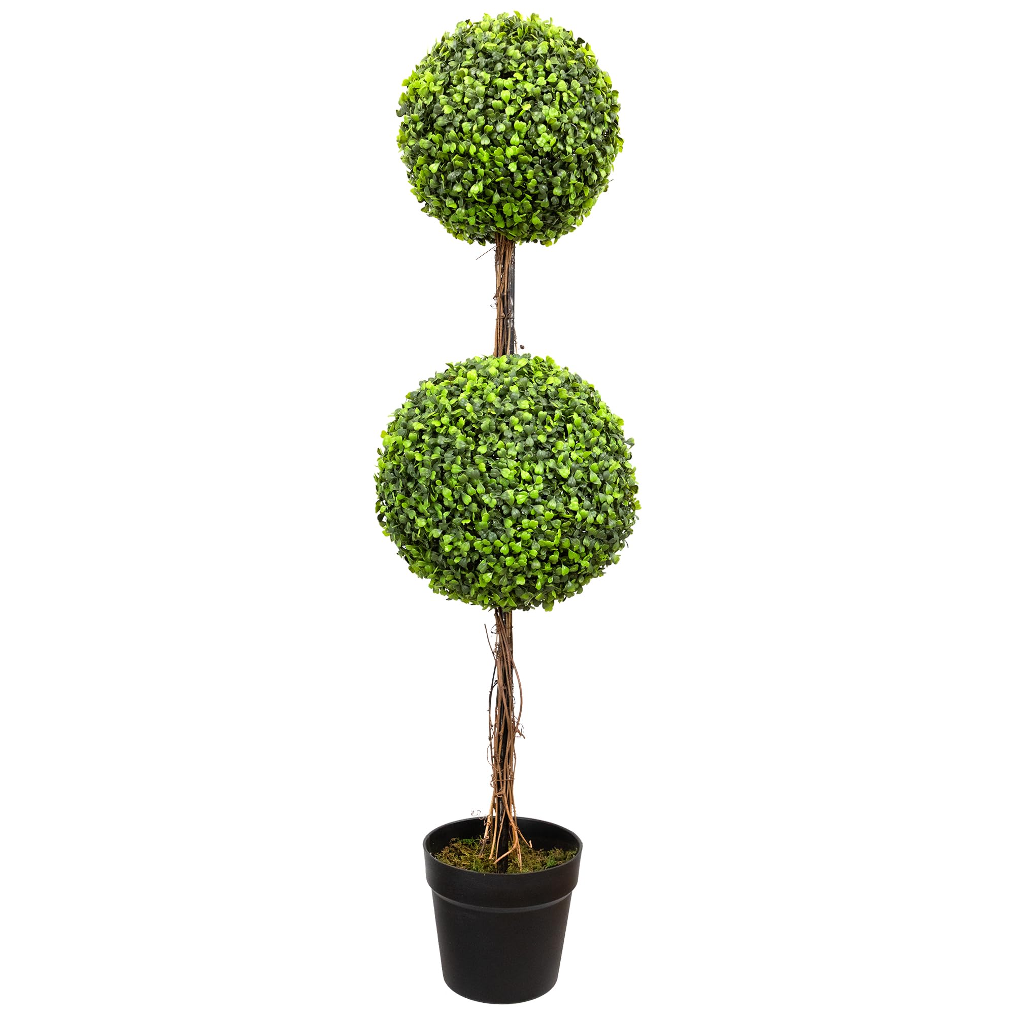 Northlight WN37370 48