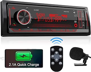 Single Din Stereo Marine Radio: Bluetooth Car Audio Receivers with Digital LCD Display | FM AM Car Radio | USB/SD/AUX/MP3 Player | 2.1A Quick Charge | APP Remote