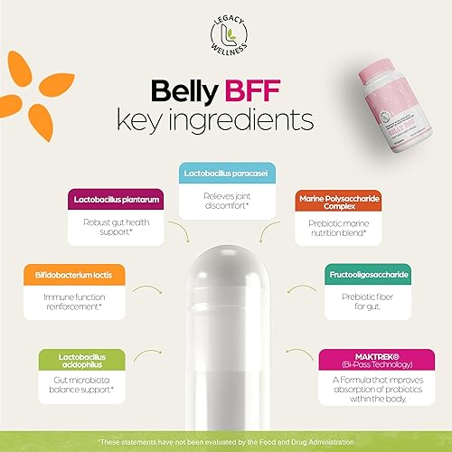 Miniatura 2 de BELLY BFF Suplemento probiótico – 40 mil millones de UFC diario apoyo complejo de salud intestinal – Astrágalo y Lactobacillus Acidophilus