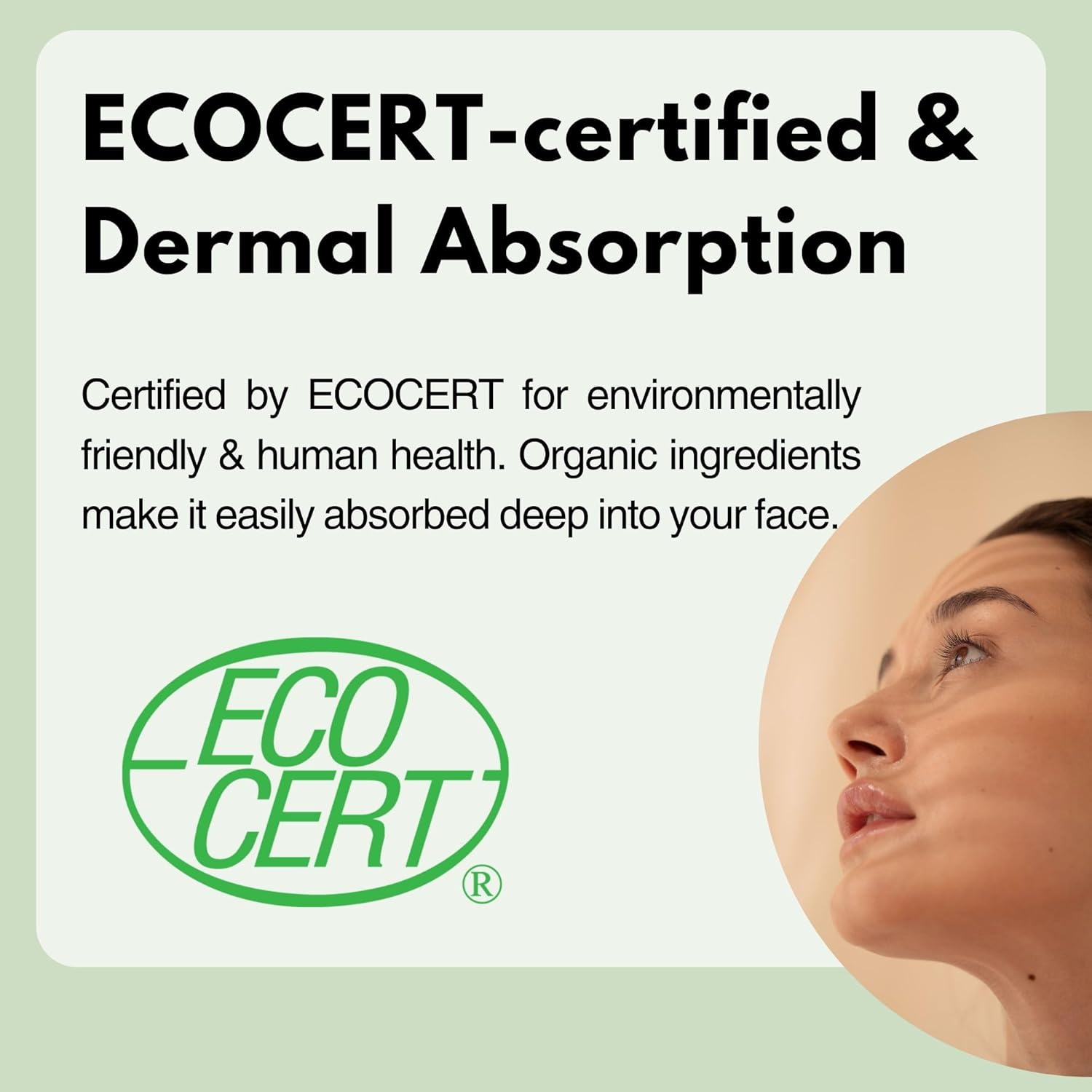 KITAO Organic Face Cream for Sensitive Skin, Anti Aging Night Cream for Face with Organic Matcha& Vitamin C| Hydrating Retinol Cream for Face | Japanese Facial Moisturizing Cream for Dry Skin 1.7Fl Oz