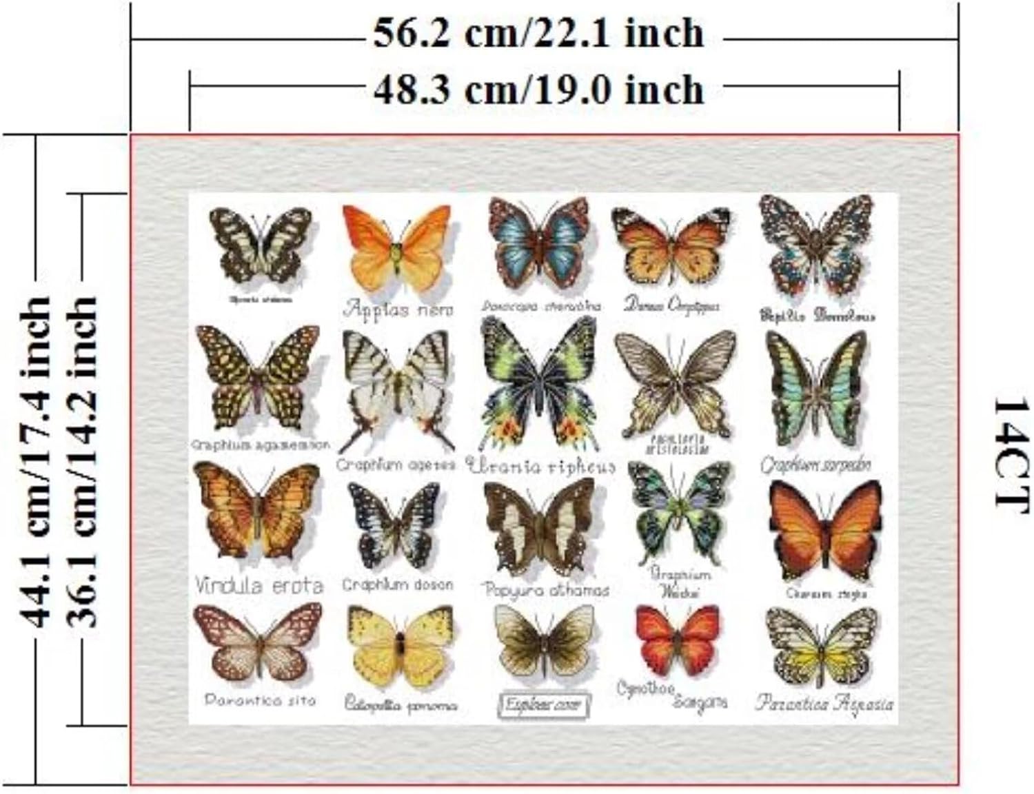 ITSTITCH Stamped Cross Stitch Kits- Full Set of Embroidery for Beginners or Adults,14 CT 2 Strands DIY Dragonflies Patterns Counted Arts Craft 22×17.3 inch