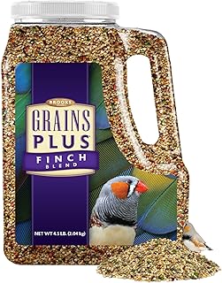 Grains Plus Finch Blend Bird Food, Nyjer Seeds, Finches Bird Seed Mix, Gold Finch Niger Seeds for Birds, Finches Food for Indoor Birds (4.5 lbs)