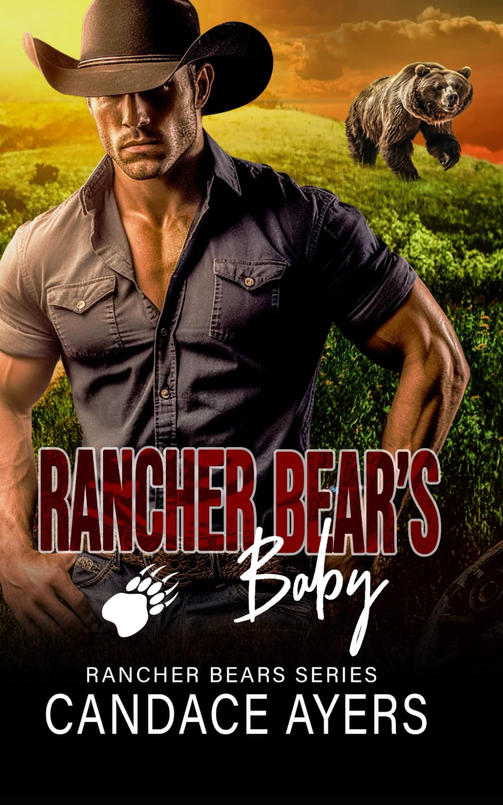 Rancher Bear's Baby: Fated Mates Grizzly Shifter Romance (Rancher Bears Series)