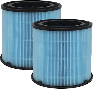 AP1001 Replacement Filter,Compatible with AIRTOK® AP1001 Air Purifier. 5-Layer Purification System H13 Ture HEPA Filter,2-Pack