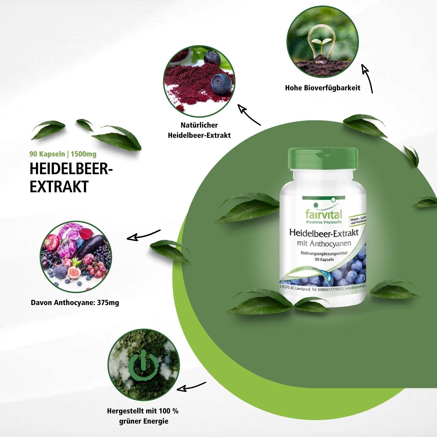 fairvital Heidelbeer-Extrakt mit Anthocyanen, 90 Kapseln, HOCHDOSIERT, 25% Anthocyane, VEGAN