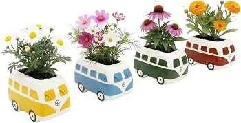 Amazon.com : BUZZY Seeds Mini Ceramic Flower Bus Grow Kit 4-Pack