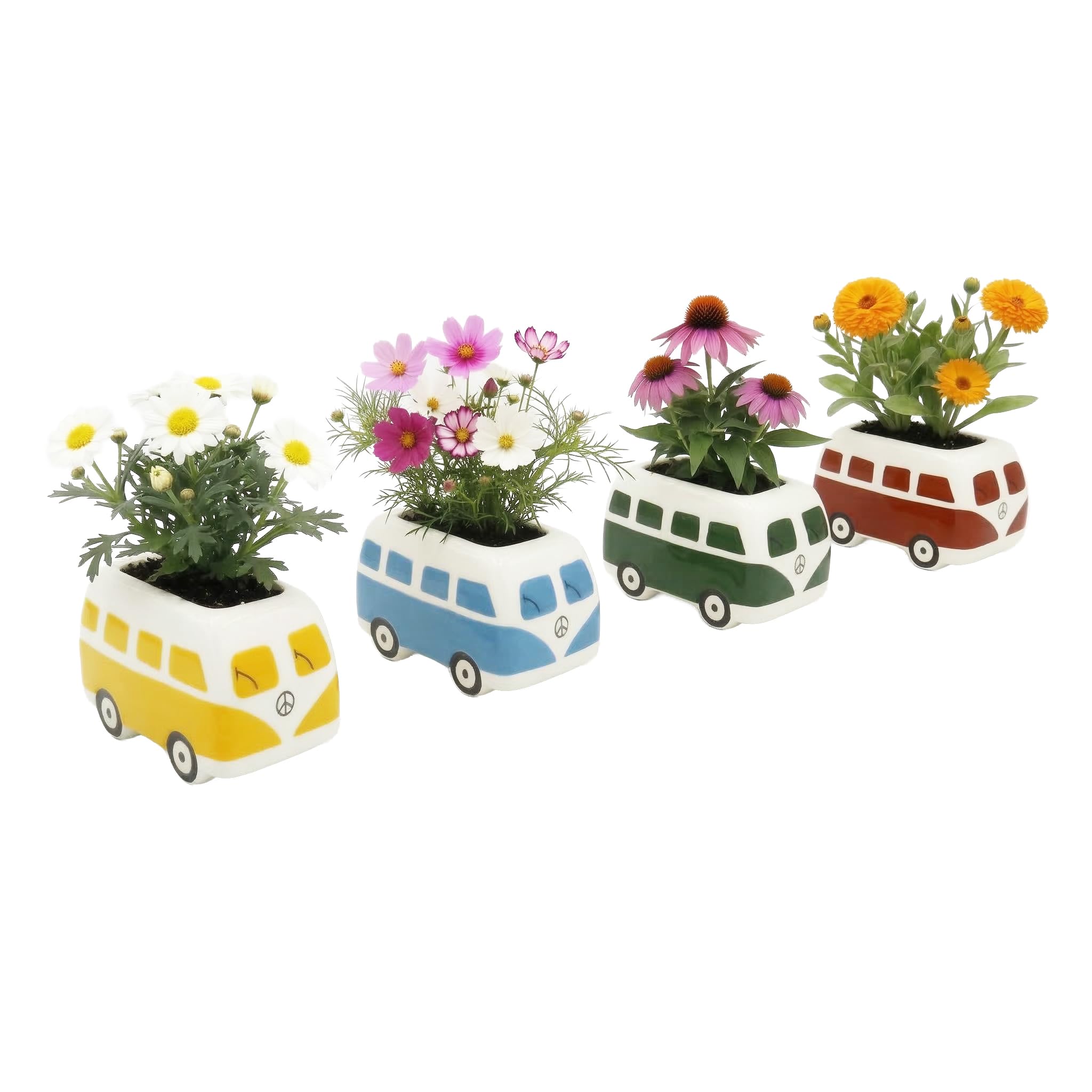 BUZZY Samen-Mini-Blumenbus-Anbauset aus Keramik, 4 Stück, Bus-Keramik-Pflanzgefäß, komplettes Gartenset für drinnen und draußen, mit Samen, Kokosnussschalen-Wachstumsmedium und echten Töpfen