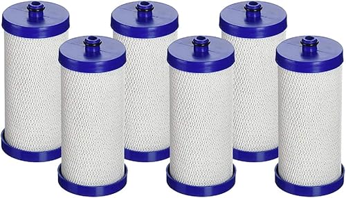 Aqua Fresh WF1CB - Filtro de agua para refrigerador compatible con Frigidaire PureSource WFCB, RG100, NGRG2000, 9910, 469906, 469910 (paquete de 6)