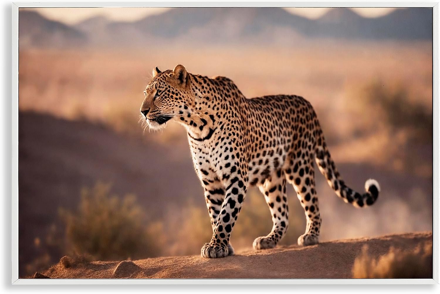 'Cheetah On Patrol'| Framed Giclee Art | Stupell Industries | White, 18 x 12 Inches, Easy to Hang and Sturdy, Made in USA, by Noah Bay