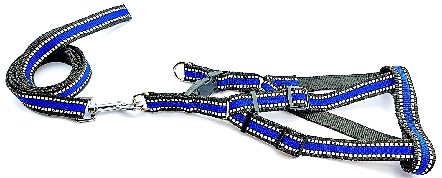 Woofy Medium Size Dog Harness with Leash, Reflective, Adjustable Comfortable Dog Harness Leash Set 0.75 Inch Night Safty, Out-Door Walking (Blue) (B0BZMJJ2HK) Amazon Price History, Amazon Price Tracker