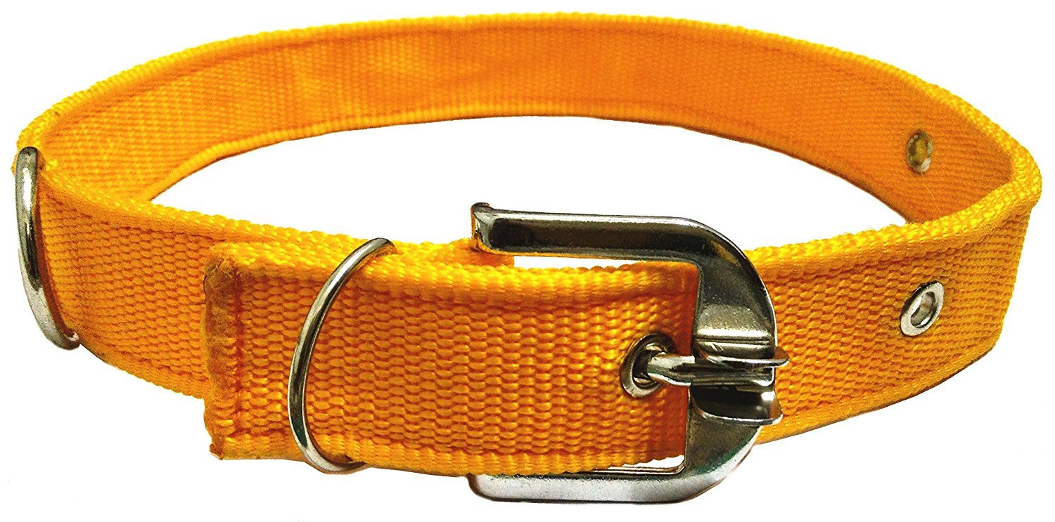 MUNCHOS 1.25 inchi Dog Collar for Large Dogs (B075FPWH38) Amazon Price History, Amazon Price Tracker