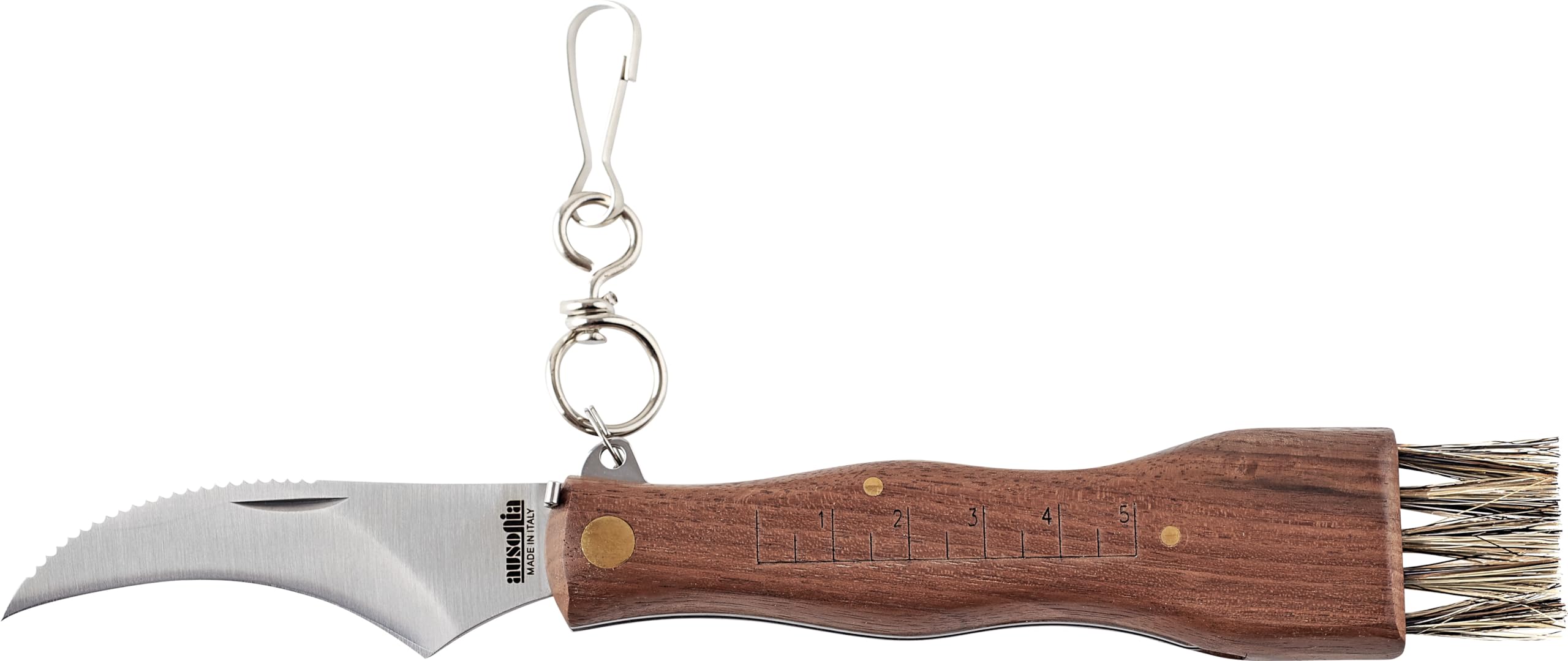 AUSONIA - 26308 Coltello per funghi Made in Italy coglifunghi Cm 20 con lama inox da 8 cm manico legno e pennellino