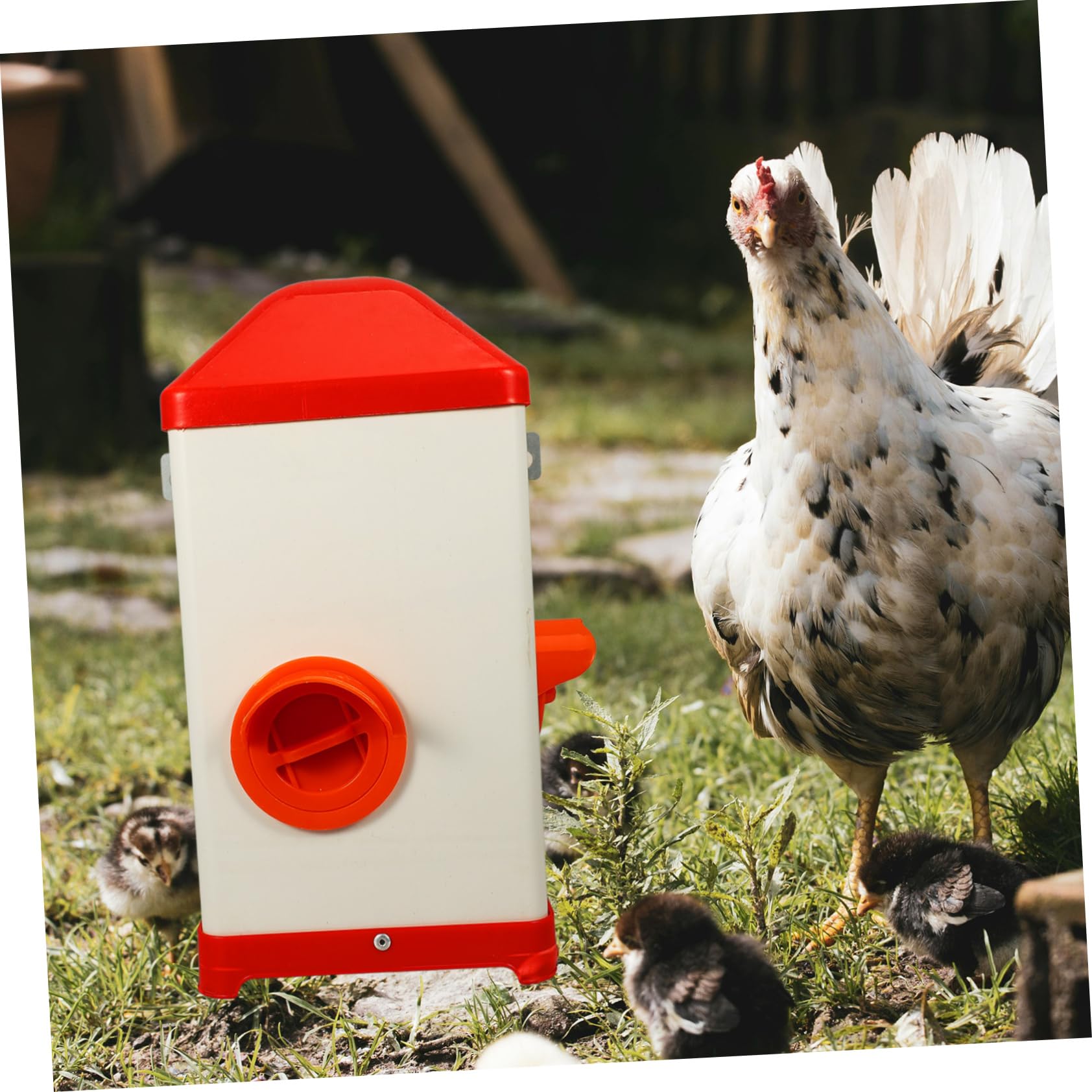 Contenedor Para Aves De Corral Comedero De Plástico Fácil De Llenar Resistente