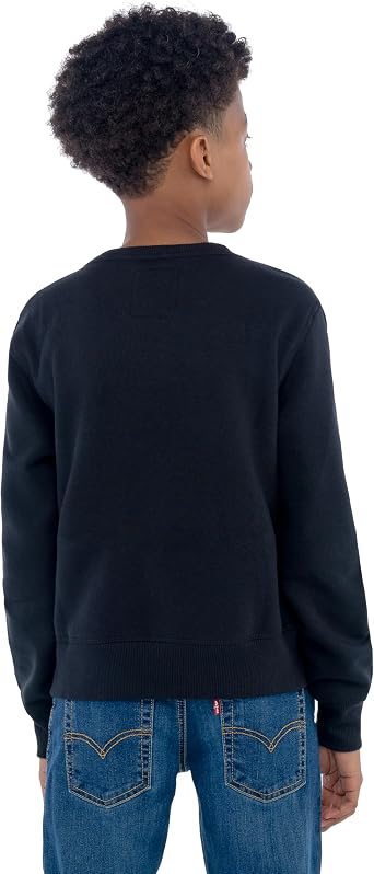 Levi's Boy's Lvb Batwing Crewneck 8e9079 Sweatshirts (Pack of 1)