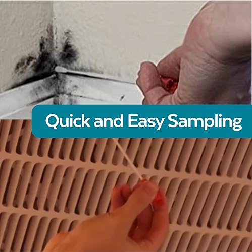 Miniatura 2 de Kit de prueba de molde para bricolaje, detección e identificación precisa de moho fácil de usar, kit de 3 hisopos para pruebas directas de moho