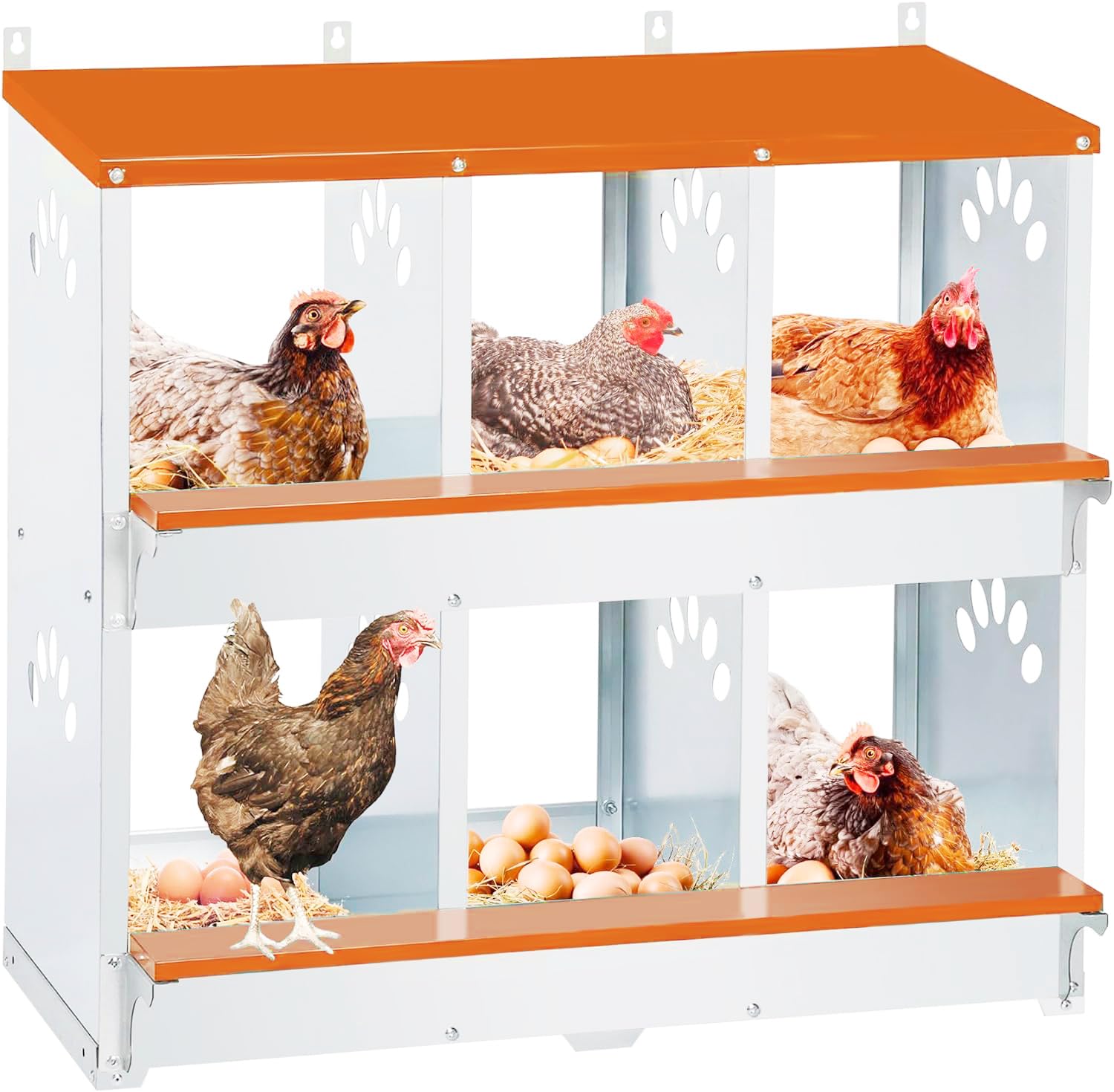 6 compartment chicken nesting box, metal nesting boxes for chicken, indoor & outdoor use, wall mountable laying boxes for hens, 31.9" l x 13" w x 25" h, orange
