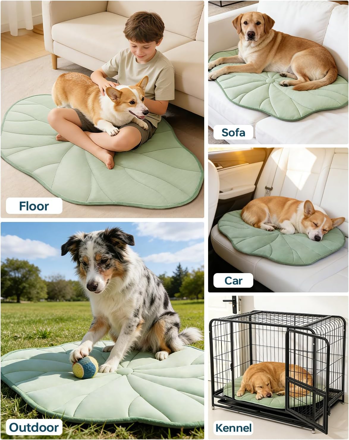 BG-BABYGO Dog Cooling Mat, 39" x 27" Reversible Q-MAX>0.5 Self Cooling Mat for Small & Medium Dogs, Washable Cooling Pad for Pets 3.0 Summer Cats Cooling Pad for Crate Kennel Outdoor Washable Portable