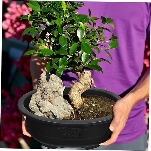 Miniatura 9 de DOITOOL 2 macetas de entrenamiento de bonsái de plástico de 15 pulgadas con orificio de drenaje, maceta ovalada para bonsái, macetas de cultivo para