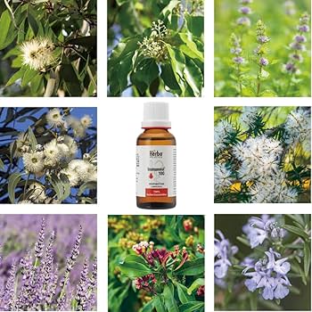 Amazon.co.jp: エルバエルヴェティカ（Herba Helvetica）イムネオール