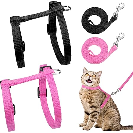 Katzengeschirr Mit Leine - Verstellbar, Ausbruchsicher, Für Katzen & Kleine Hunde