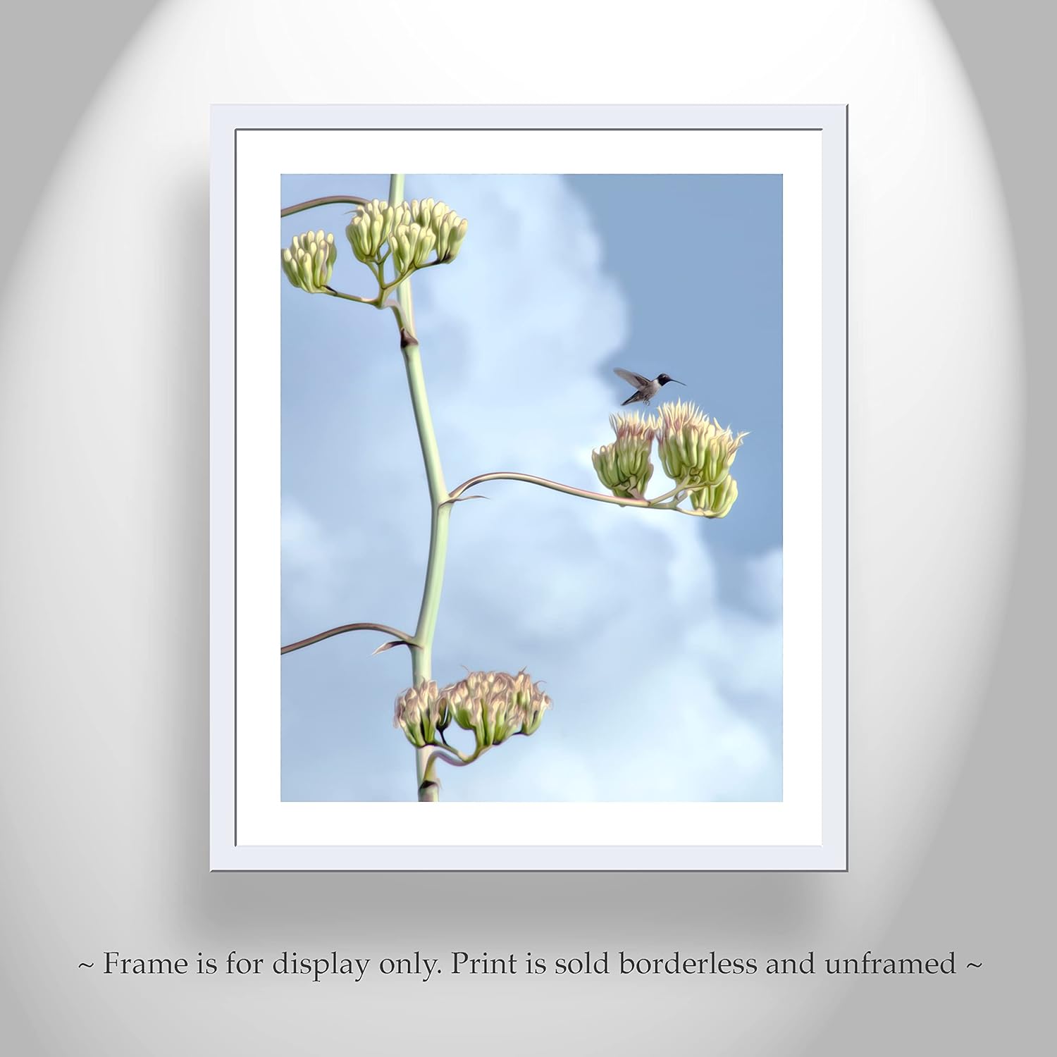 Agave Century Plant and Flying Hummingbird Photograph as Fine Art Home Decor