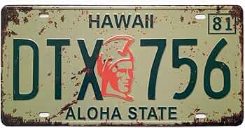 Amazon.com: ERLOOD Hawaii DTX 756 ALOHA state Retro Vintage Auto