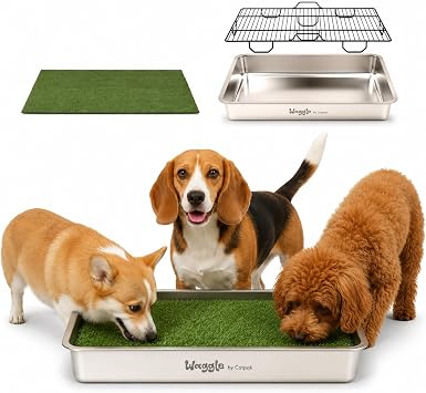 Stainless Steel Dog Potty Tray with Grate, 27.5" x 19.7" for Small Dog