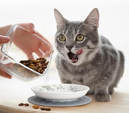 Miniatura 2 de 6 cuencos para gatos con 6 alfombrillas antideslizantes de silicona, plato de cerámica para comida, cuenco de comida húmeda para gatos, plato de