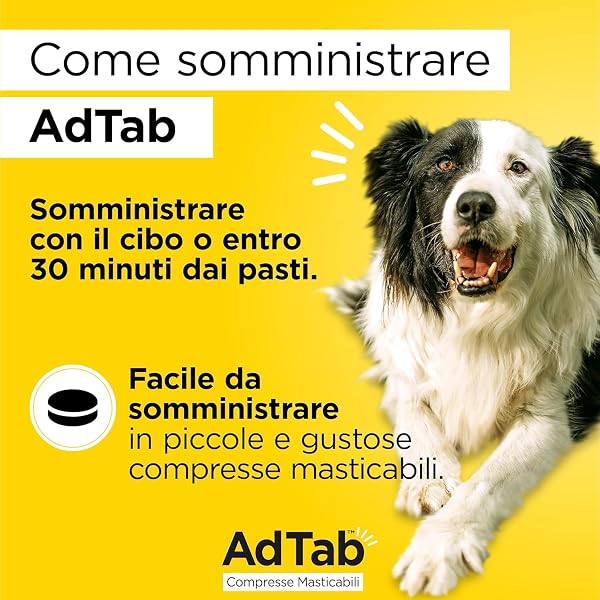 AdTab Compresse Masticabili per Cani >11-22 kg - 6 Compresse - 5