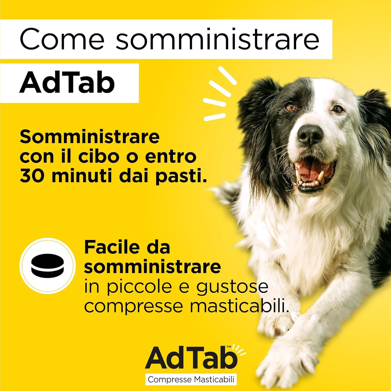 AdTab Compresse Masticabili per Cani >11-22 kg - 6 Compresse
