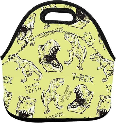 Lonchera reutilizable con diseño de dinosaurios, a prueba de fugas, bolsa de almuerzo portátil para mujeres y hombres, bolsa de mano para el