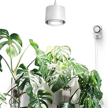 Barrina TR40 Hanging Plant Lights for Indoor Plant, 40W 5000K Full Spectrum | Adjustable Beam Angle (15°-60°), High PPFD, Spotlight Grow Light with Timer for Indoor, Large Tall Plant, Flowers, White