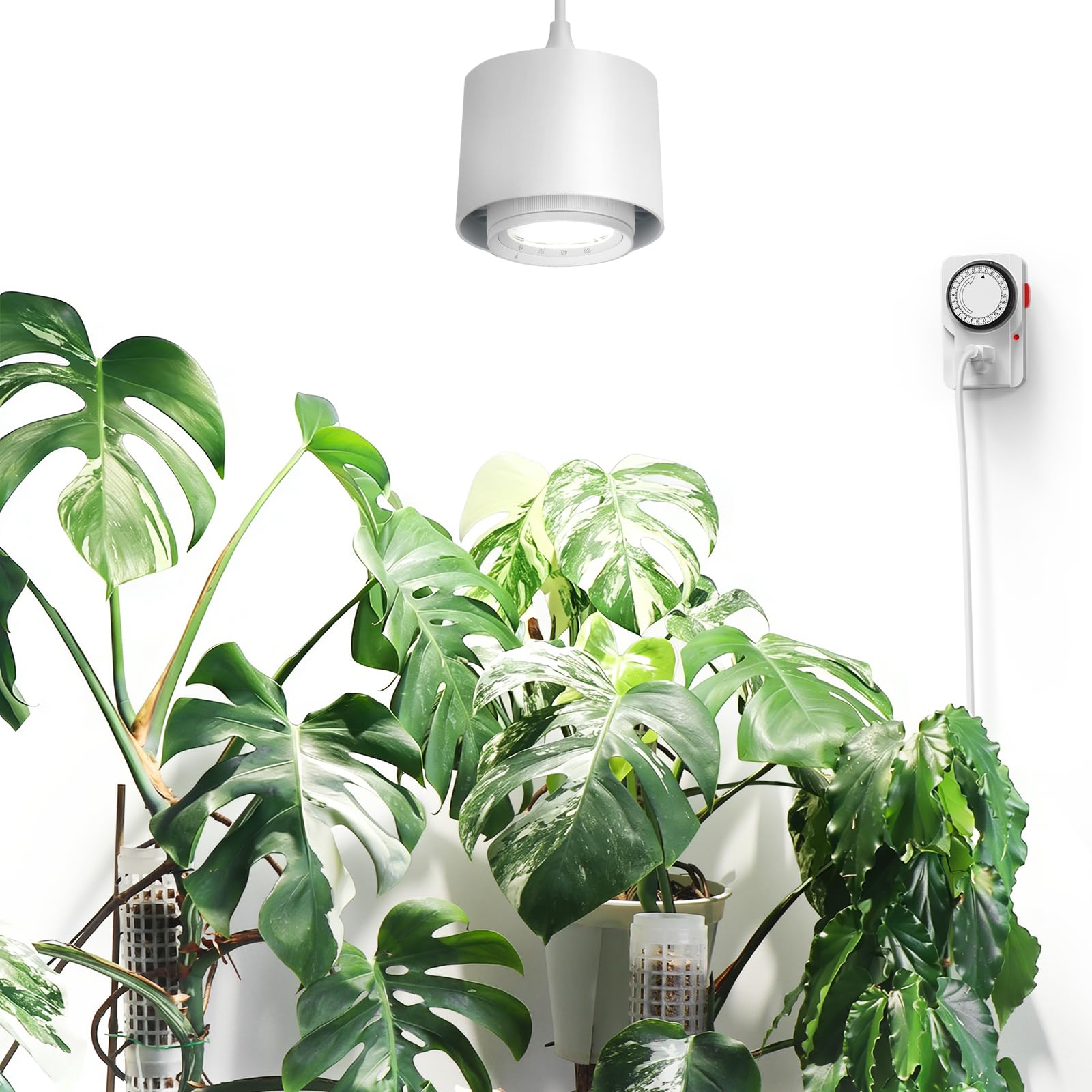 Barrina TR40 Hanging Plant Lights for Indoor Growing, 40W 5000K Full Spectrum, Adjustable Beam Angle (15°-60°), High PPFD, Spotlight Grow Light with Timer for Indoor, Large Tall Plant, Flowers, White-picture-24