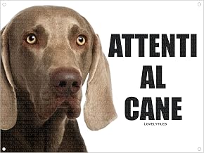 Weimaraner Attentive to Dog Metal Sign (15 x 20)