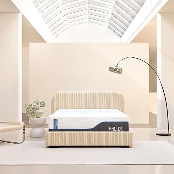 MLILY ChiroPro 1.0 13 Firm Twin XL