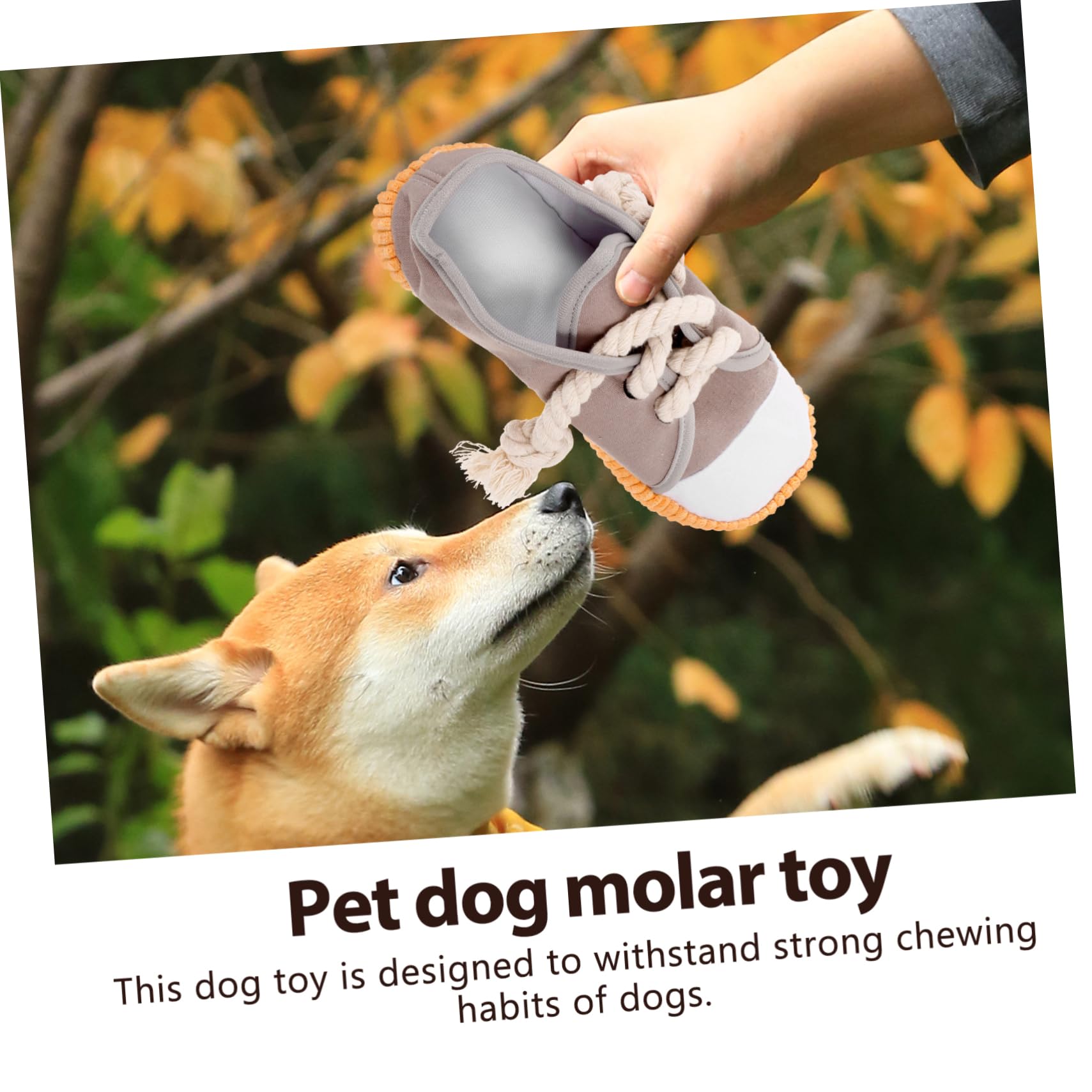 BESPORTBLE 5pièces Jouet à Mâcher pour Chien Forme De Chaussure Jouet Interactif pour Nettoyage Dents pour Chiots Et Chiens Agressifs