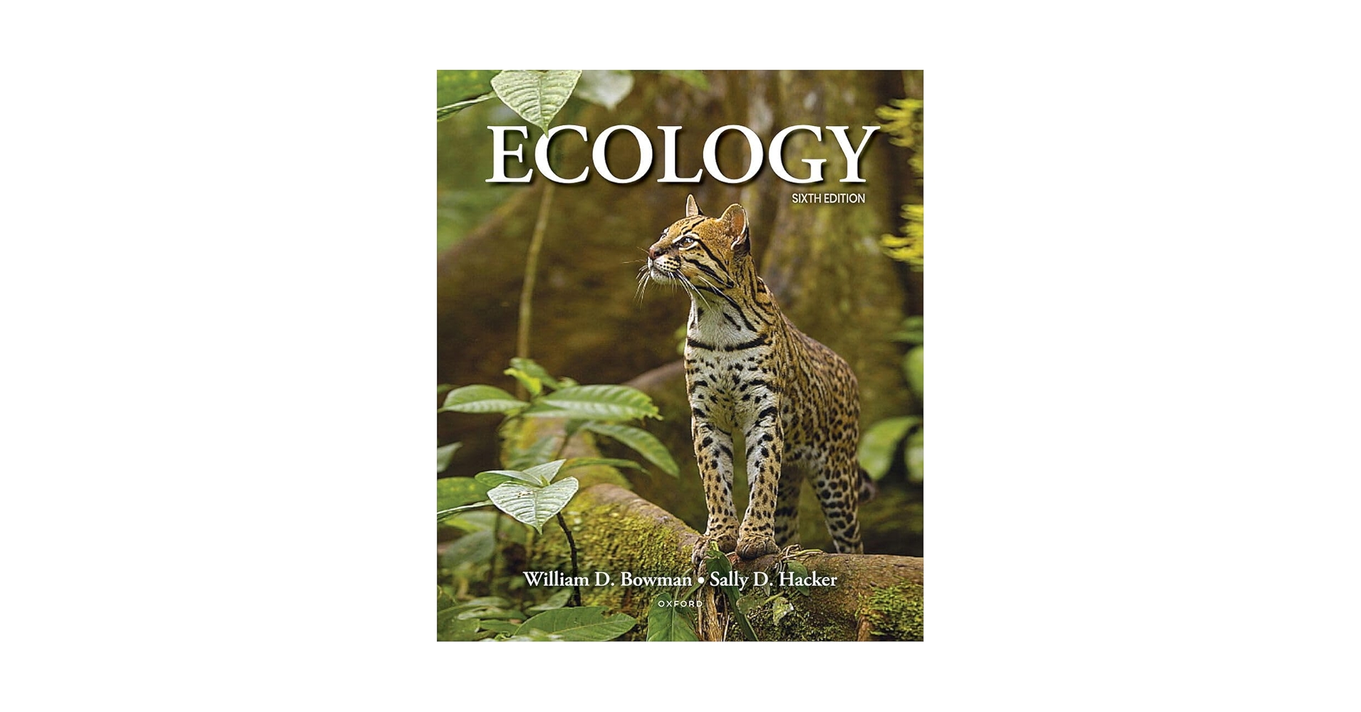Amazon.com: Ecology: 9780197614044: Bowman, William, Hacker