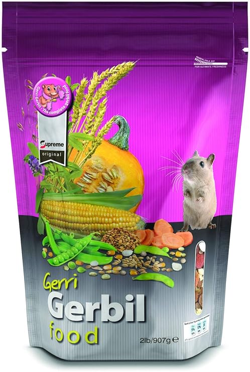 gerbil supplies