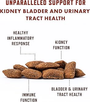 Rocco & Roxie Cat Urinary Tract Health Supplement, Cranberry and D-Mannose for Kidney, Bladder, and UT Support, Vet Recommended Chicken Flavored Crunchy Chews Cats Love, Made in USA