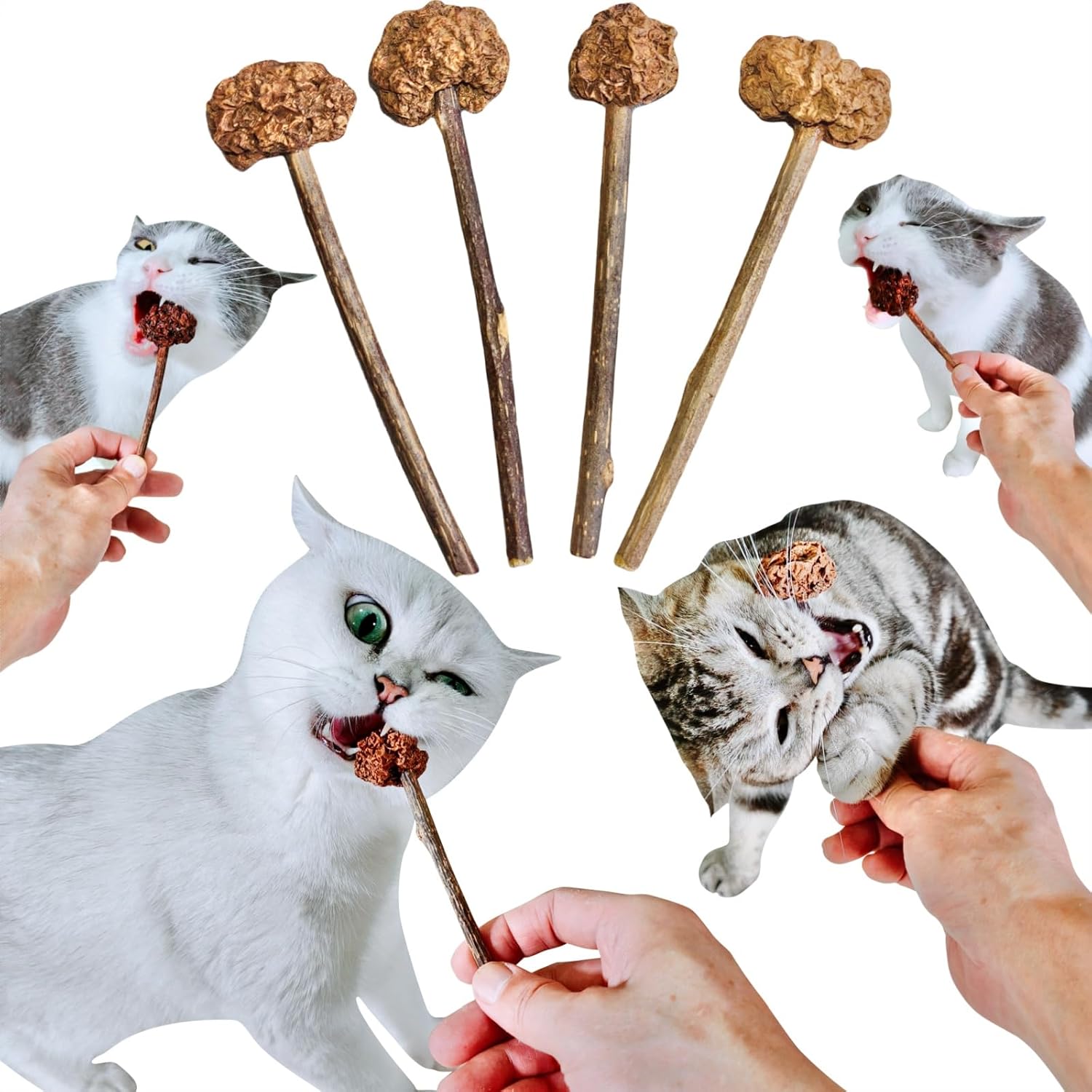 4 PCS Silvervine Stick Cat Toy with Gall Fruit – Natural Lollipop-Shaped Matatabi Chew Toy for Cats – Catnip Alternative for Teeth Cleaning, Anxiety Relief & Interactive Play – 4.8″ Cat Dental Toy