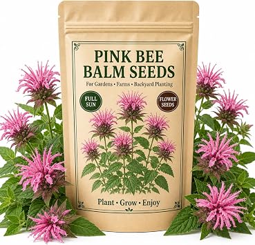 1000 Pink Bee Balm Seeds Vibrant Monarda Blooms for Pollinator-Friendly Gardens